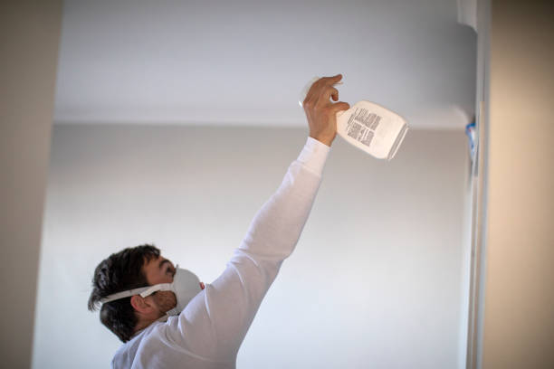 Best Toxic Mold Removal  in Wenonah, NJ