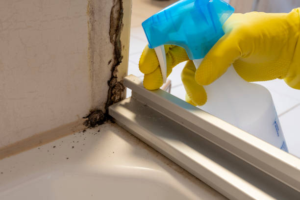 Best Mold Cleaning Services  in Wenonah, NJ