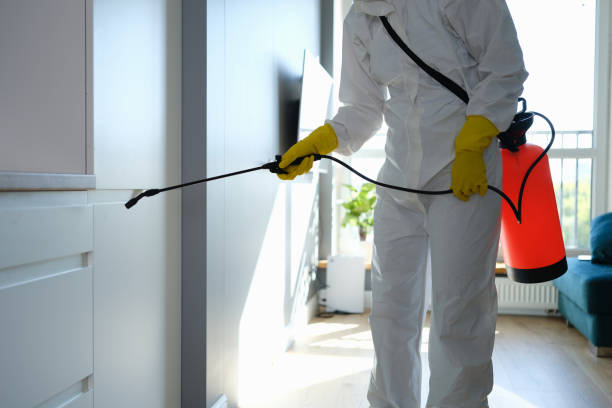 Best Home Mold Removal  in Wenonah, NJ
