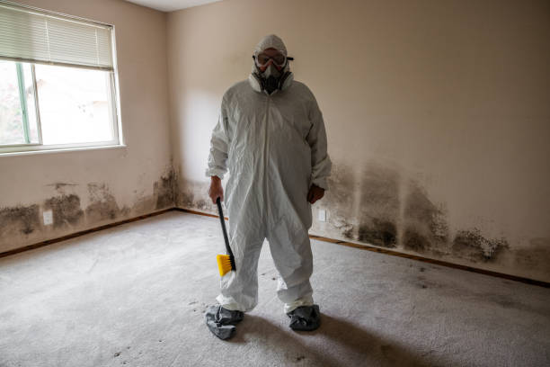 Best Certified Mold Removal  in Wenonah, NJ