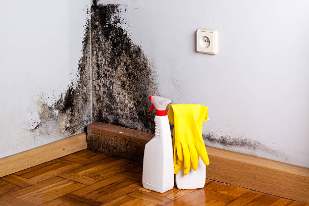 Best Crawl Space Mold Removal  in Wenonah, NJ